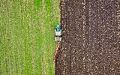 Qué es la agricultura ecológica