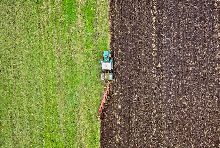 Agricultura ecológica